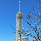 Κινητός πύργος τηλεπικοινωνιών Cdma χάλυβα κεραιών με την πλατφόρμα εστιατορίων